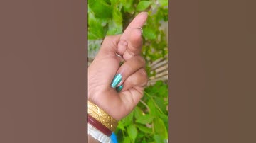 It is the Smaller shiny jewel beetle part2#beautifulinsects #nature #anyuniqueanimals#insects