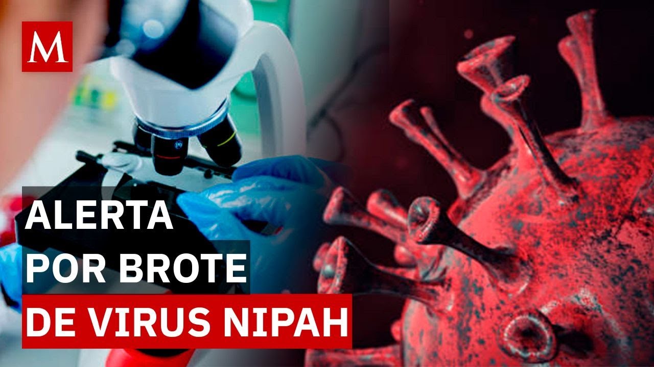 ¿Qué es el virus Nipah? Conoce los síntomas y medidas preventivas para evitar su propagación