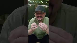 Cracking the Code - Episode 11- The Judges May not Legislate from the Bench. Shut it Down!