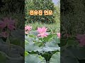 전유진 연모 비가 그치네 토오일 오후 ㅋㅋ 트롯 인기가요 전유진 연모 비가 그치네 토오일 오후 ㅋㅋ 트롯 인기가요