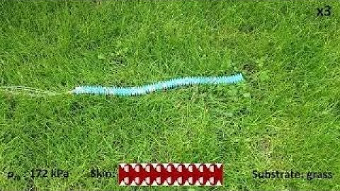 Bio-inspired snakeskin enables effective slithering of a snake robot