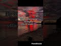 My home song_simiugere_willz AI music 🎶 