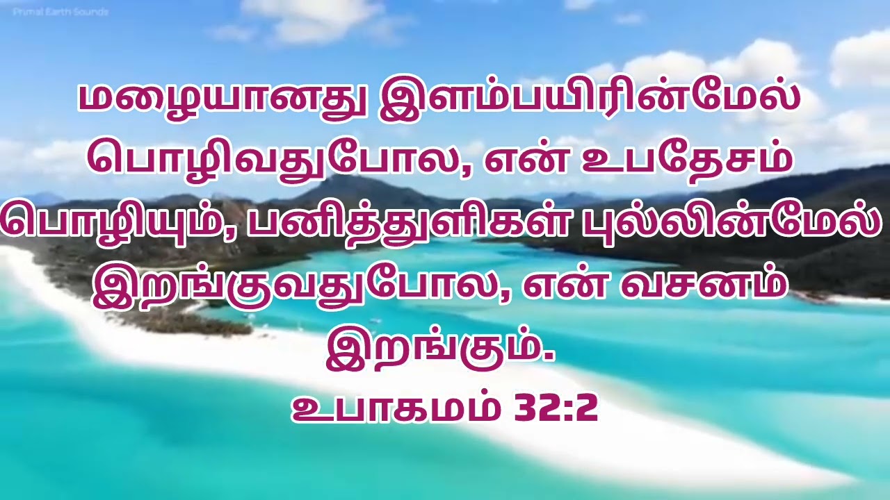 இன்றைய ஆகாரம் நாள் 25-01-2026 ஞாயிற்றுக்கிழமை Sunday Sunday special power tower media 