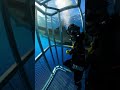 #SharkAttack#SharkAttacks#SeaPredator#OceanPredators#SharkFootage#DeepSea#WildOcean