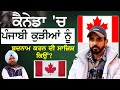 Canada life style  reverse migration canada to punjab  dreamland ep1  sirlekh 