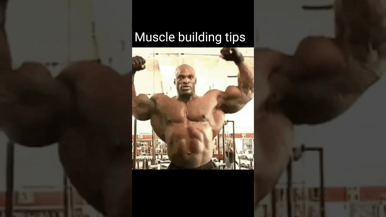 day-28 Muscle building tips itzJuvraj007#gym#motivation#viral#shorts#sports#vlog#minivlog#muscle#fit