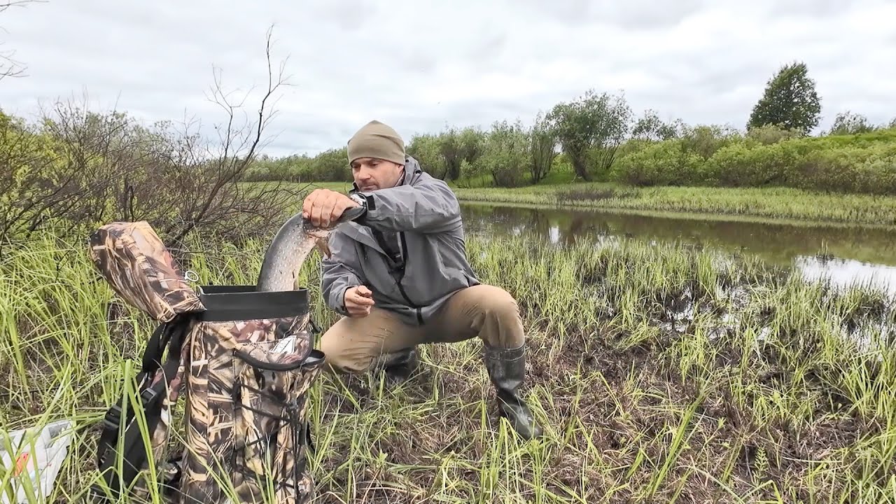 ОТЛОВИЛСЯ ПО ЩУКЕ НА ОЗЕРЕ. САМАЯ МЕЛКАЯ БЛЕСНА КОСИЛА ЩУКУ ЛЮБЫХ РАЗМЕРОВ. РЫБАЛКА НА СЕВЕРЕ.
