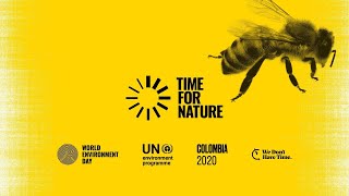 United Nations - World Environment Day 2020