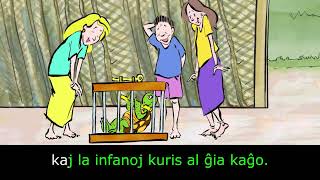 28 filmoj de CANAL DA IEDA