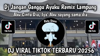  AKU CINTA DIA IYA AKU SAYANG SAMA DIA || DJ JANGAN GANGGU AYUKU REMIX LAMPUNG VIRAL TIKTOK 2026