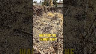 Dead Backyard Gets the Ultimate Glow Up ✨ #beforeandafter #gardengoals #renovation