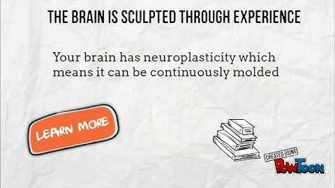 Brain Based Approaches to Learning