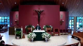 Thursday of the 11th Week in Ordinary Time: 6/18/26