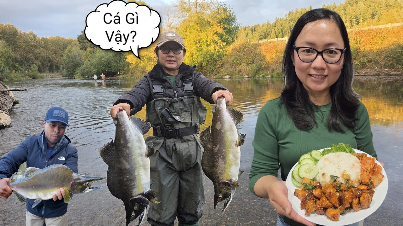 Hai Vợ Chồng CODY Câu Cá Hồi Ở Washington Mỹ 