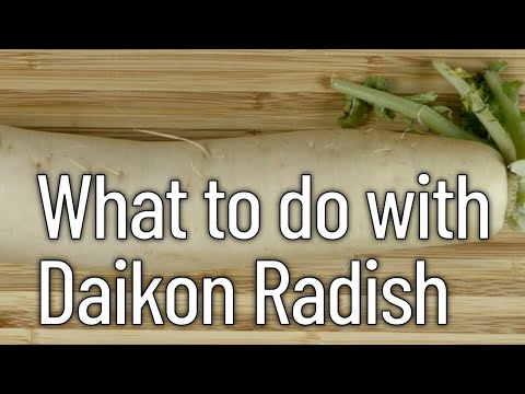 What to do with daikon radish