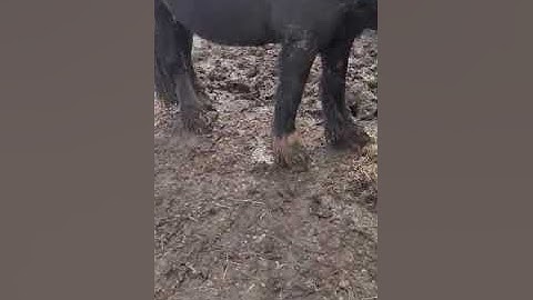 Customer video, MUDCONTROL slabs on clay after 15 months of use