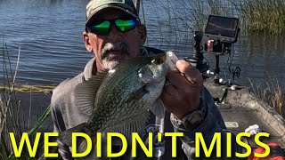Most People Miss These Crappie on Okeechobee (We Didn’t)