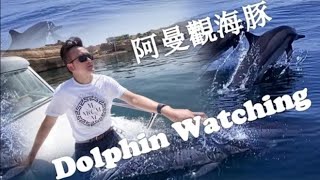 出海觀海豚:阿曼旅遊#Dolphin Watching in Muscat (English & Chinese Subtitles)#Oman Travel Guide -#阿曼首都马斯客特