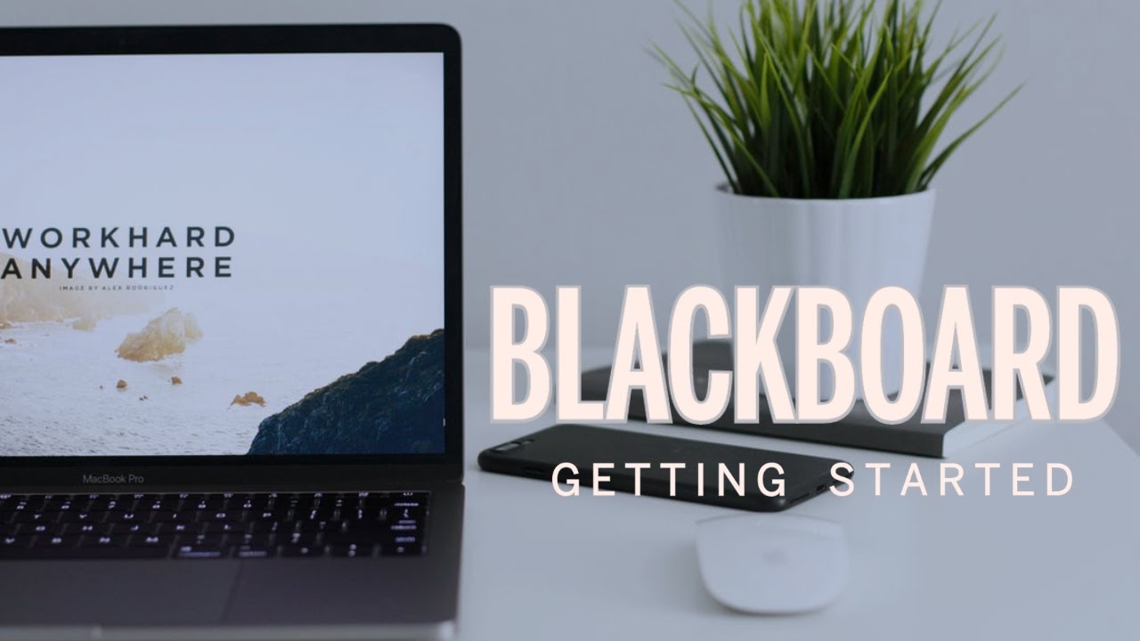 Blackboard Getting Started YouTube
