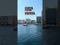 Dubai Creek Evening Vibes 🌅 | Birds & Boats Magic #shorts #nature #trending