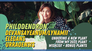 PHILODENDRON LYNAMII, ELEGANS, URRAOENSIS | A New 2022 Plant Wishlist Unboxing + Bonus Plants