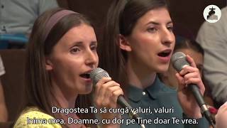 Fratii Loghin - Raul vietii