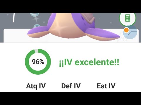 community day mudkip Capturo LAPRAS Shiny con Ataques legados como conseguirlo. Con todo Pokémon Go