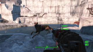 Fallout 4 glitch: Dogmeat swimming in midair