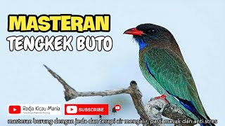 Masteran Mewah...!! Burung TENGKEK BUTO dengan Terapi Air Mengalir | Radja Kicau Mania