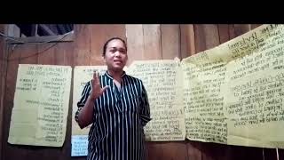 Topic: "Learning MTB-MLE in early childhood education " Report for MTB-MLE