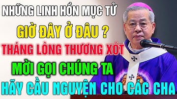 Những Linh Hồn Mục Tử Giờ Đây Ở Đâu?– Tháng 11, Tháng Lòng Thương Xót Mời Gọi Cầu Nguyện Cho Các Cha