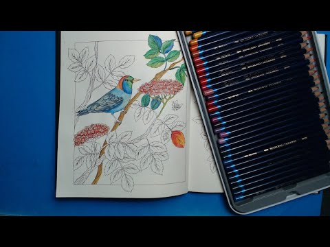 Видео: It MUST be a Coloring Sunday - Color & Chat with CLAldridgeArt in Flora/Inktense (Pt 2)