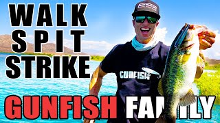 GUNFISH FAMILY Topwater Tech & Tricks【05,06,07,08,09,10】