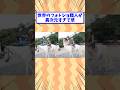 世界のフォトショ職人が異次元すぎて草 #shorts