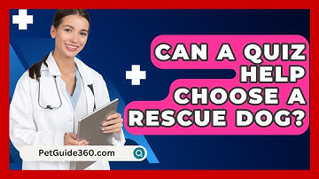 Can A Quiz Help Choose A Rescue Dog? - PetGuide360.com