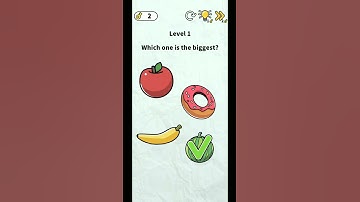 Brain Puzzle Level 1-5 Walkthrough