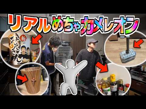 ゲームで話題『めっちゃカメレオン』でリアル隠れんぼやってみた！