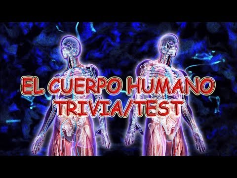 ¿Cuánto sabes del