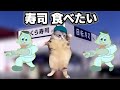 くら寿司で食事しただけの何気ない話【猫ミーム】