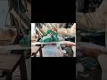 From Willow Wood to Perfect Cricket Bat