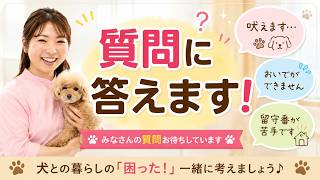 【犬のお悩み相談】みなさんの質問にお答えします！犬のしつけエマチャンネル【犬のしつけ＠横浜】