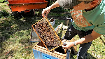 Setting Up New Bee Hives - Honey Bees For Farm! | Starting Old Byrd Farm Apiary | HONEY I'M HOME