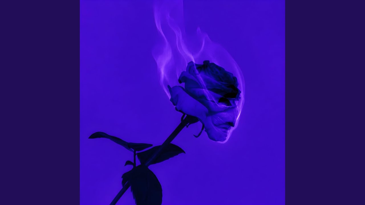 Watch Fallen Flower on YouTube Watch Fallen Flower on YouTube