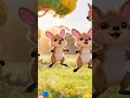 Little Kangaroo Song | English Nursery Rhymes for Children's | Galatta Kids | Animal song | Shorts