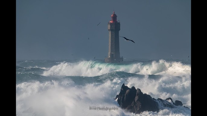 Tempête Ciaran : la flèche de la grue accidentée à Brest a été