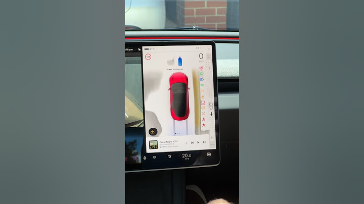 Best New Feature on the Tesla Model 3 😍