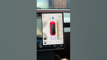 Best New Feature on the Tesla Model 3 😍
