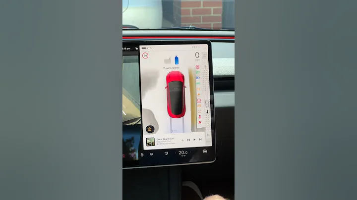 Best New Feature on the Tesla Model 3 😍