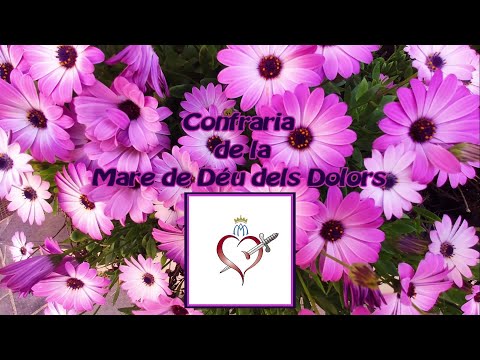 Cofradía de la Virgen de los Dolores