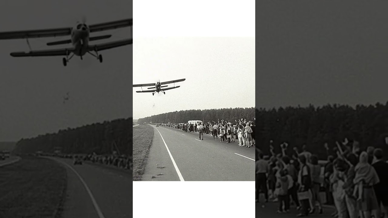 Beebilõust - Vabaduse Väljakul